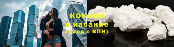 индика Семёнов