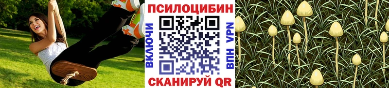 как найти   блэк спрут ссылка  Галлюциногенные грибы мухоморы  Алушта 