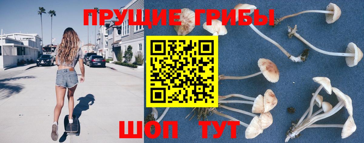 Псилоцибиновые грибы мухоморы  Вход с VPN  Алушта  Псилоцибиновые грибы мухоморы 